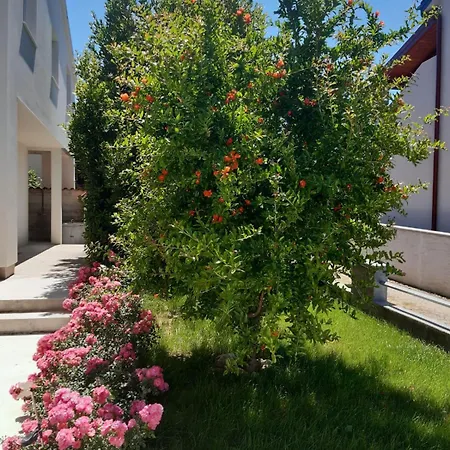 Appartamento Apartman Mama